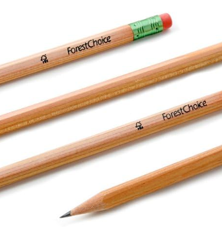 PALOMINO Forest Choice Pencils Pack of 12 - HB